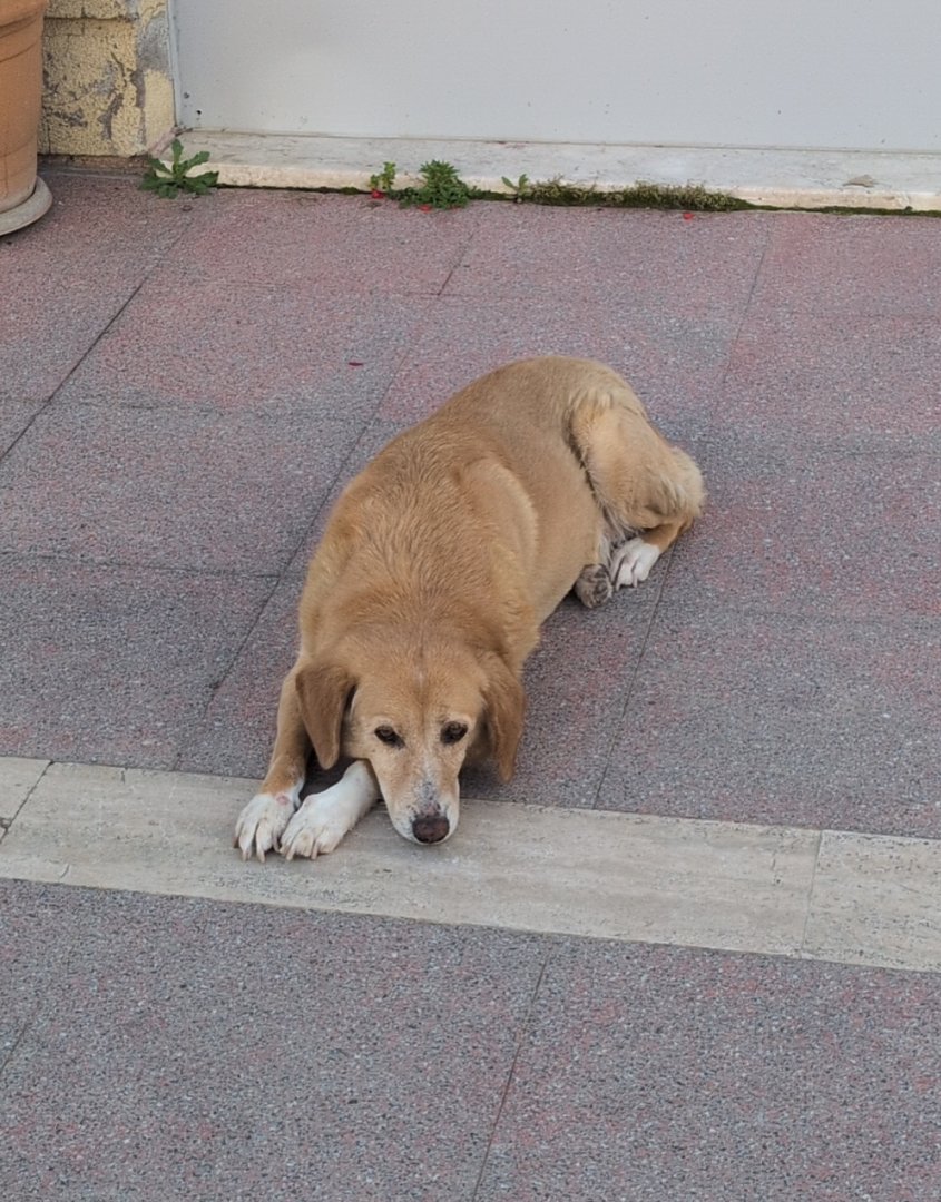 Day 8: Western Taurus to Antalya - 12.000 km - The Complete Silk Road #silkroad