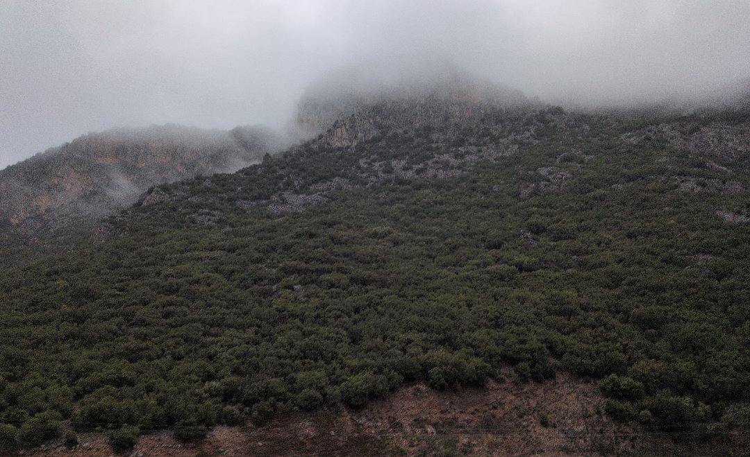 Day 10+11: 1500 km to Georgia - 12.000 km - The Complete Silk Road #silkroad