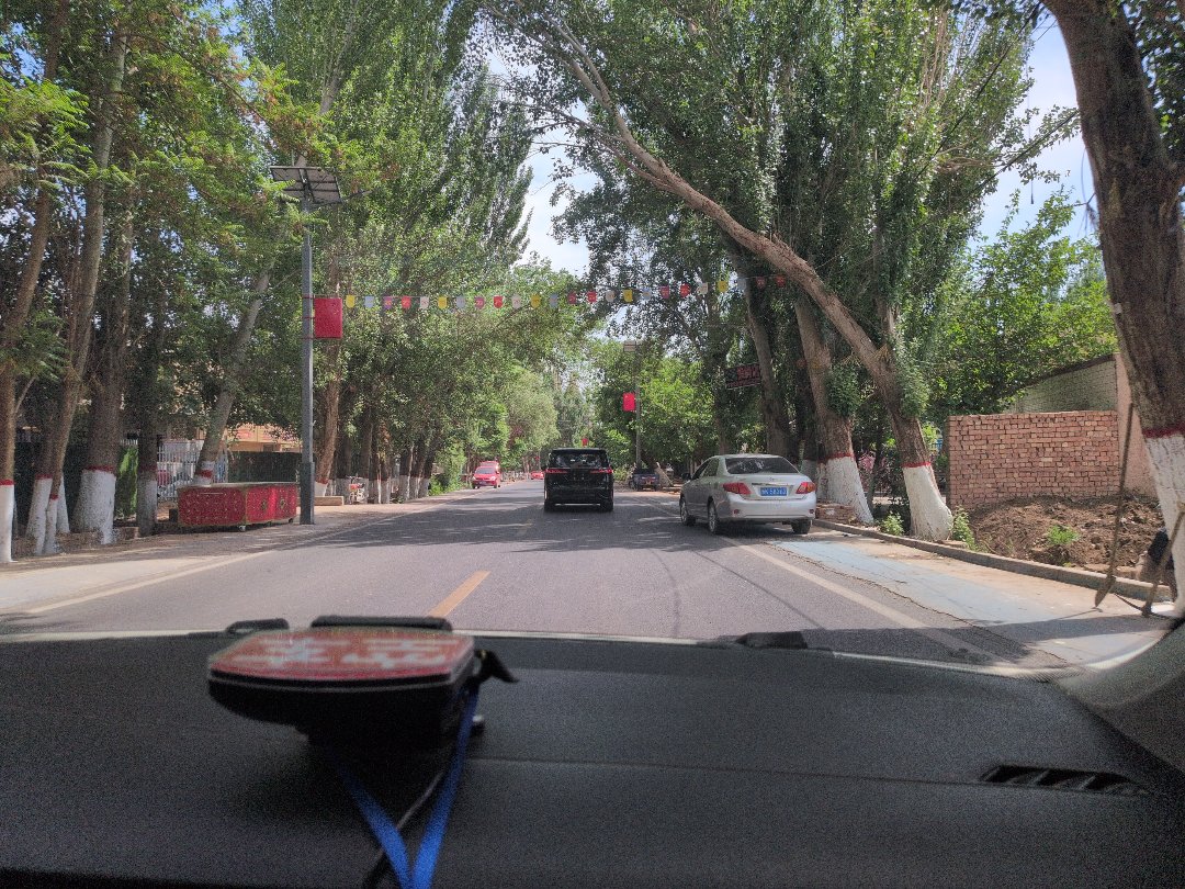 Day 30: Tour to Jiaohe and Aydinköl - 12.000 km - The Complete Silk Road #silkroad