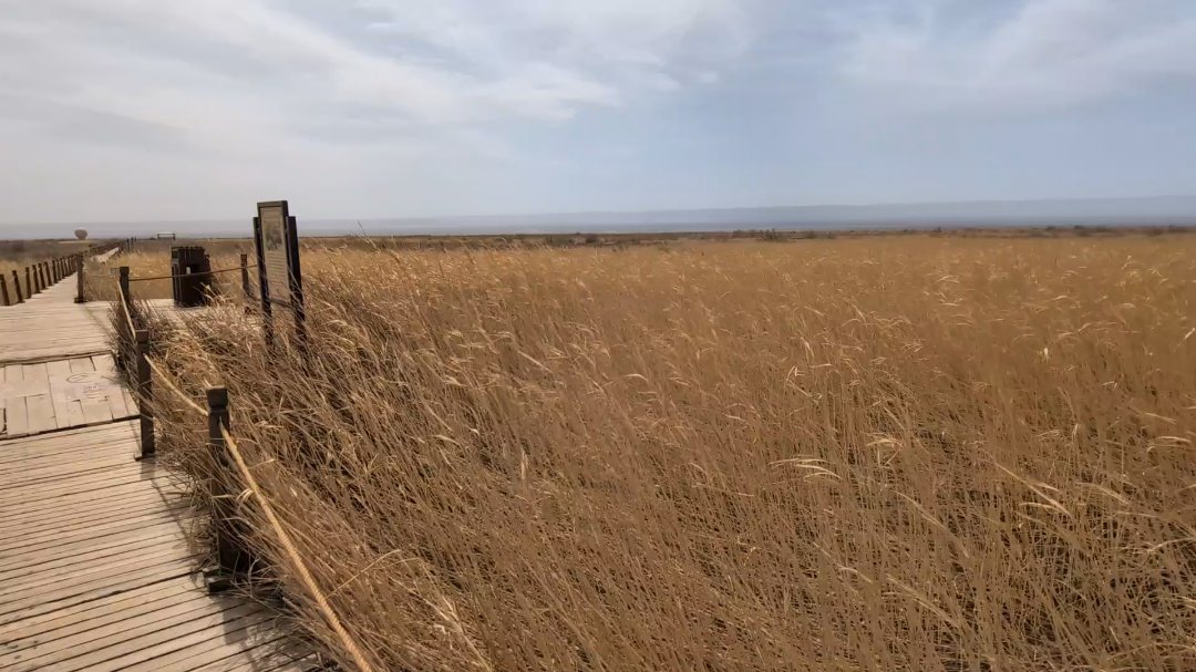 Day 30: Tour to Jiaohe and Aydinköl - 12.000 km - The Complete Silk Road #silkroad