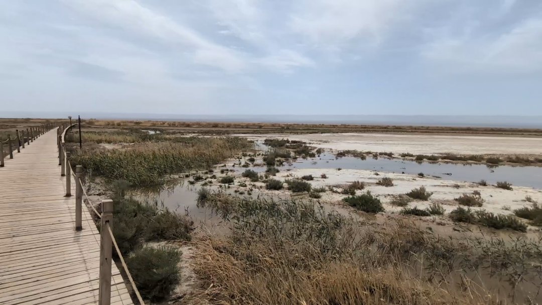 Day 30: Tour to Jiaohe and Aydinköl - 12.000 km - The Complete Silk Road #silkroad