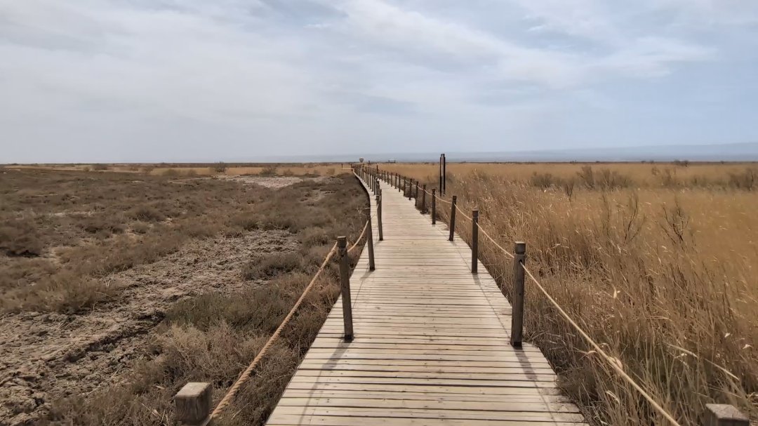 Day 30: Tour to Jiaohe and Aydinköl - 12.000 km - The Complete Silk Road #silkroad
