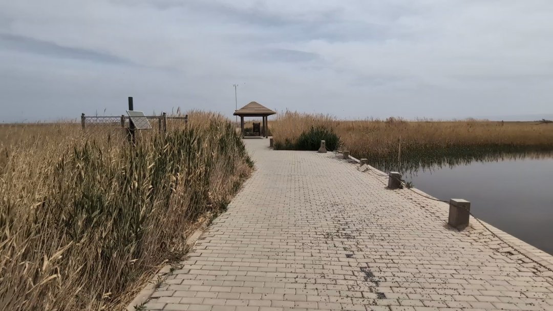 Day 30: Tour to Jiaohe and Aydinköl - 12.000 km - The Complete Silk Road #silkroad