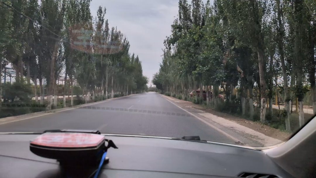 Day 30: Tour to Jiaohe and Aydinköl - 12.000 km - The Complete Silk Road #silkroad