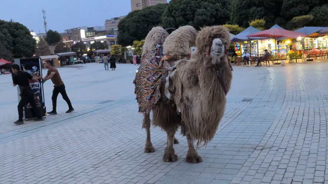 Day 33: Kashgar, Gate to the Silkroad - 12.000 km - The Complete Silk Road #silkroad