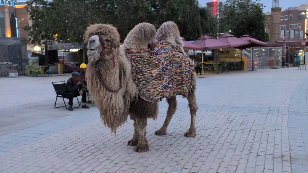 Day 33: Kashgar, Gate to the Silkroad - 12.000 km - The Complete Silk Road #silkroad