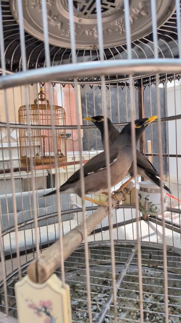 Day 33: Kashgar, Gate to the Silkroad - 12.000 km - The Complete Silk Road #silkroad