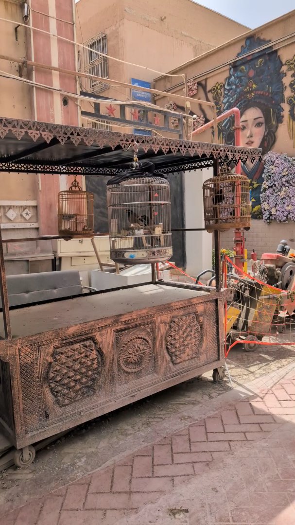 Day 33: Kashgar, Gate to the Silkroad - 12.000 km - The Complete Silk Road #silkroad