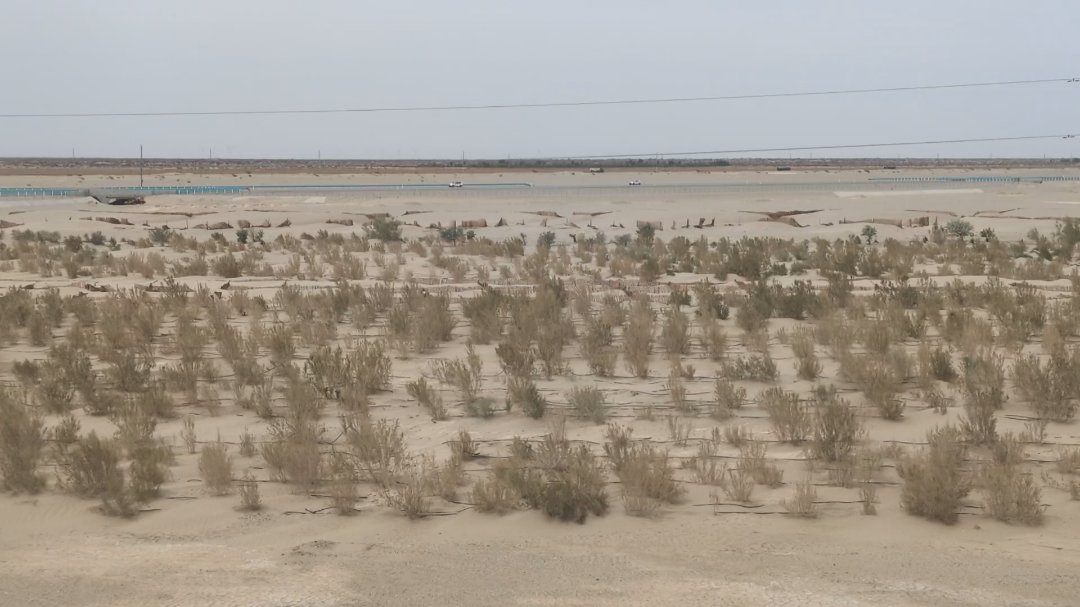 Day 34+35+36: 44 hours on a train: Taklamakan and Parts of Tibet - 12.000 km - The Complete Silk Road #silkroad