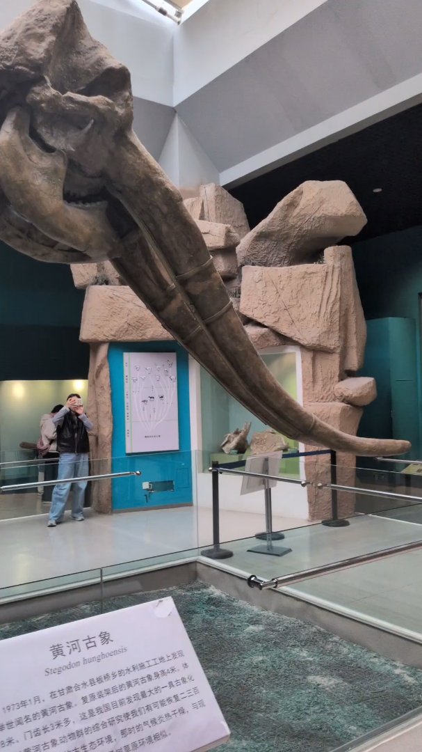 Day 37: Mayday in Lanzhou - 12.000 km - The Complete Silk Road #silkroad